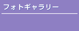 フォトギャラリー